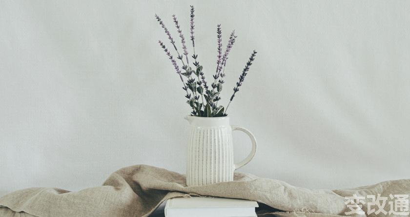 变改通官网降AIGC，变改通论文修改工具，变改通论文降重软件