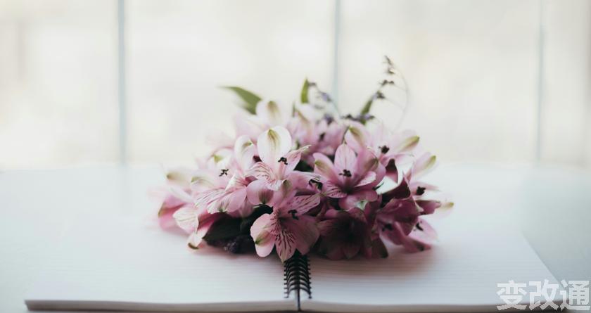 变改通官网降AIGC，变改通论文修改工具，变改通论文降重软件